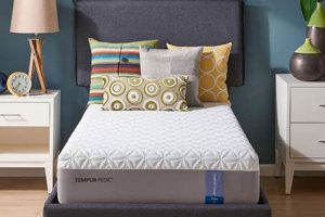 Best Twin Mattress with Bed: Guide & Reviews for Small Spaces Organic & Natural Mattress Buyer’s Guide: Non-Toxic Sleep Solutions Best Twin Mattress with Bed: Guide & Reviews for Small Spaces | Organic & Natural Mattress Buyer’s Guide: Non-Toxic Sleep Solutions