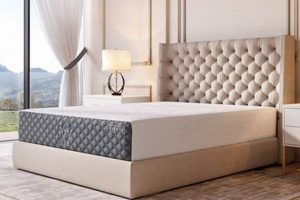 Best Puffy Mattress Twin: Size, Comfort & Value Organic & Natural Mattress Buyer’s Guide: Non-Toxic Sleep Solutions Best Puffy Mattress Twin: Size, Comfort & Value | Organic & Natural Mattress Buyer’s Guide: Non-Toxic Sleep Solutions