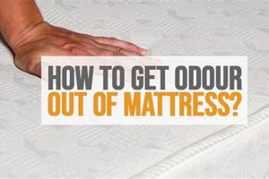 Easy Ways to Get Odor Out of Mattress Fast + Tips | Organic & Natural Mattress Buyer’s Guide: Non-Toxic Sleep Solutions