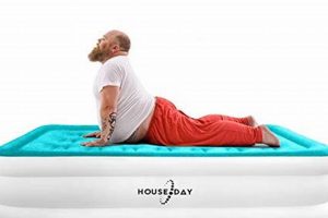 Best Costco Twin Air Mattress [Deals!] for Guests | Organic & Natural Mattress Buyer’s Guide: Non-Toxic Sleep Solutions