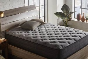 Best Hybrid Mattress Twin: Comfort & Support Organic & Natural Mattress Buyer’s Guide: Non-Toxic Sleep Solutions Best Hybrid Mattress Twin: Comfort & Support | Organic & Natural Mattress Buyer’s Guide: Non-Toxic Sleep Solutions