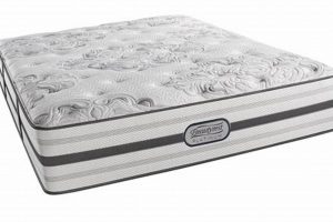 Best Beautyrest Twin Mattress: Reviews & Deals Organic & Natural Mattress Buyer’s Guide: Non-Toxic Sleep Solutions Best Beautyrest Twin Mattress: Reviews & Deals | Organic & Natural Mattress Buyer’s Guide: Non-Toxic Sleep Solutions