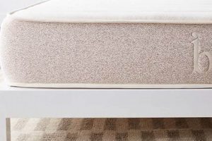Top Helix Twin Mattress Guide: Sizes, Prices & More | Organic & Natural Mattress Buyer’s Guide: Non-Toxic Sleep Solutions