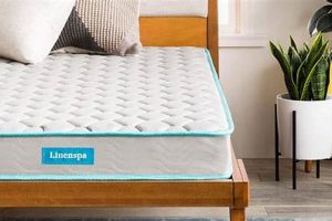 Budget Twin: Big Lots Twin Mattress Under $100 - Deals! | Organic & Natural Mattress Buyer’s Guide: Non-Toxic Sleep Solutions