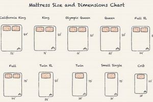 Ultimate Mattress Dimension Chart Guide + Sizes Organic & Natural Mattress Buyer’s Guide: Non-Toxic Sleep Solutions Ultimate Mattress Dimension Chart Guide + Sizes | Organic & Natural Mattress Buyer’s Guide: Non-Toxic Sleep Solutions