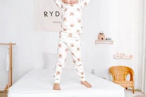 Best Newton Twin Mattress? Safe Sleep Starts Here! | Organic & Natural Mattress Buyer’s Guide: Non-Toxic Sleep Solutions