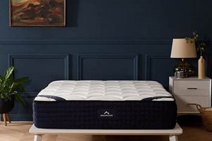 Best DreamCloud Twin Mattress: [Benefits/Deals]! | Organic & Natural Mattress Buyer’s Guide: Non-Toxic Sleep Solutions
