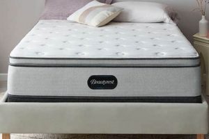 Best Beautyrest Twin Mattress: Comfort & Value [Year] | Organic & Natural Mattress Buyer’s Guide: Non-Toxic Sleep Solutions