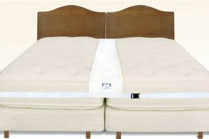 Twin to King: Mattress Converter Kit - Make Your Sleep Comfy! Organic & Natural Mattress Buyer’s Guide: Non-Toxic Sleep Solutions Twin to King: Mattress Converter Kit - Make Your Sleep Comfy! | Organic & Natural Mattress Buyer’s Guide: Non-Toxic Sleep Solutions