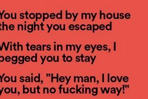 Lyrical Dreams: Twin Size Mattress Song Meaning Explained Organic & Natural Mattress Buyer’s Guide: Non-Toxic Sleep Solutions Lyrical Dreams: Twin Size Mattress Song Meaning Explained | Organic & Natural Mattress Buyer’s Guide: Non-Toxic Sleep Solutions