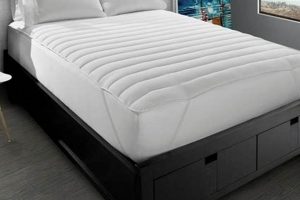 Best Twin Pillow Top Mattress? Find Your Twin Comfort! | Organic & Natural Mattress Buyer’s Guide: Non-Toxic Sleep Solutions