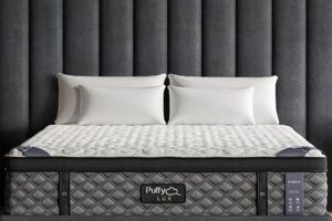 Best Puffy Twin Mattress: Comfort & Support! | Organic & Natural Mattress Buyer’s Guide: Non-Toxic Sleep Solutions