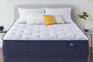 Best Twin Serta Mattress [Guide] for Comfy Sleep | Organic & Natural Mattress Buyer’s Guide: Non-Toxic Sleep Solutions