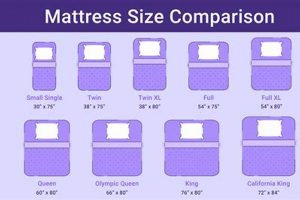 Is an Extra Long Twin Bed Mattress Size Right for You? Guide | Organic & Natural Mattress Buyer’s Guide: Non-Toxic Sleep Solutions