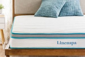 Best Linenspa Mattress Twin: Comfort & Value! | Organic & Natural Mattress Buyer’s Guide: Non-Toxic Sleep Solutions