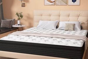 Best Deals on Spring Twin Mattress [Sleep Soundly] | Organic & Natural Mattress Buyer’s Guide: Non-Toxic Sleep Solutions