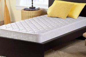 Best Value: Twin Mattress 2 Pack Set For Kids & Guests | Organic & Natural Mattress Buyer’s Guide: Non-Toxic Sleep Solutions