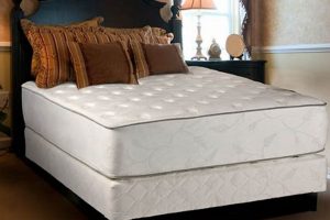 Best Orthopedic Twin Mattress: Benefits & Beyond | Organic & Natural Mattress Buyer’s Guide: Non-Toxic Sleep Solutions