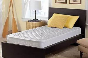 Best Twin Mattress at Sam's Club: [Year] Guide | Organic & Natural Mattress Buyer’s Guide: Non-Toxic Sleep Solutions