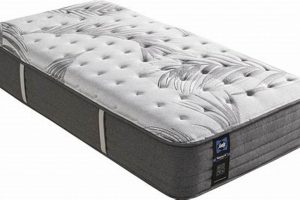 Best Twin Mattress Sealy Deals: Sleep Soundly! Organic & Natural Mattress Buyer’s Guide: Non-Toxic Sleep Solutions Best Twin Mattress Sealy Deals: Sleep Soundly! | Organic & Natural Mattress Buyer’s Guide: Non-Toxic Sleep Solutions