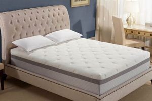Best Novaform Twin Mattress: Comfort & Value [Year] | Organic & Natural Mattress Buyer’s Guide: Non-Toxic Sleep Solutions