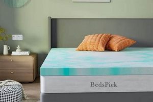 Best Twin XL Mattress: Long Sleep Comfort, Dorm Ready! | Organic & Natural Mattress Buyer’s Guide: Non-Toxic Sleep Solutions