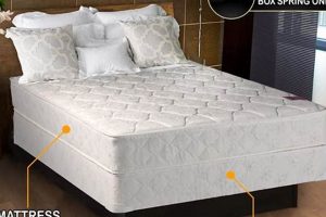 Best Twin Mattress Boxspring: Comfort & Support! Organic & Natural Mattress Buyer’s Guide: Non-Toxic Sleep Solutions Best Twin Mattress Boxspring: Comfort & Support! | Organic & Natural Mattress Buyer’s Guide: Non-Toxic Sleep Solutions