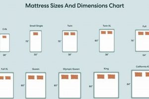Twin XL Size: Dimensions & Uses of Extra Long Twin Mattress | Organic & Natural Mattress Buyer’s Guide: Non-Toxic Sleep Solutions