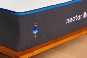 Best Nectar Mattress Twin: Size & Comfort Guide | Organic & Natural Mattress Buyer’s Guide: Non-Toxic Sleep Solutions