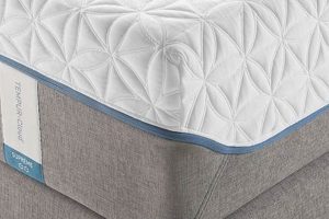 Best Twin Size Tempur-Pedic Mattress [Guide & Sale] | Organic & Natural Mattress Buyer’s Guide: Non-Toxic Sleep Solutions