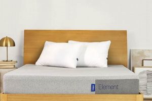 Casper Element Twin Mattress: Is It Right For YOU? | Organic & Natural Mattress Buyer’s Guide: Non-Toxic Sleep Solutions