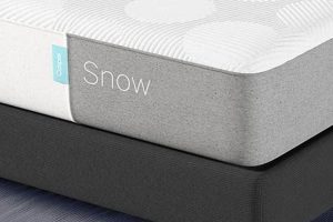 Best Twin Mattress Casper [Deals!] For Small Spaces | Organic & Natural Mattress Buyer’s Guide: Non-Toxic Sleep Solutions