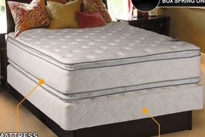 Best Twin Mattress Spring: Comfort & Support Secrets Organic & Natural Mattress Buyer’s Guide: Non-Toxic Sleep Solutions Best Twin Mattress Spring: Comfort & Support Secrets | Organic & Natural Mattress Buyer’s Guide: Non-Toxic Sleep Solutions