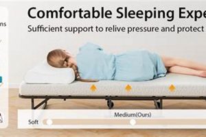 Best 4 Mattress Twin Set: Buying Guide & Deals Organic & Natural Mattress Buyer’s Guide: Non-Toxic Sleep Solutions Best 4 Mattress Twin Set: Buying Guide & Deals | Organic & Natural Mattress Buyer’s Guide: Non-Toxic Sleep Solutions