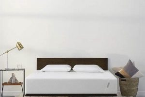 Best Tuft & Needle Twin Mattress: [Year] Review & Guide | Organic & Natural Mattress Buyer’s Guide: Non-Toxic Sleep Solutions