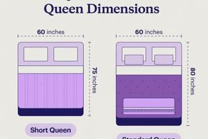 Short Queen Mattress Dimensions: Size Guide + Uses Safem Fabrication - Precision Engineering & Custom Manufacturing Solutions Short Queen Mattress Dimensions: Size Guide + Uses | Safem Fabrication - Precision Engineering & Custom Manufacturing Solutions