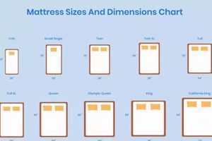 Queen Size Mattress Dimensions in cm: Guide & Sizes Organic & Natural Mattress Buyer’s Guide: Non-Toxic Sleep Solutions Queen Size Mattress Dimensions in cm: Guide & Sizes | Organic & Natural Mattress Buyer’s Guide: Non-Toxic Sleep Solutions