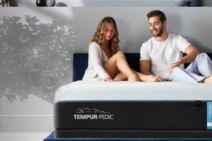 Best Mattress Store Chicago: Find Your Dream Bed! Safem Fabrication - Precision Engineering & Custom Manufacturing Solutions Best Mattress Store Chicago: Find Your Dream Bed! | Safem Fabrication - Precision Engineering & Custom Manufacturing Solutions