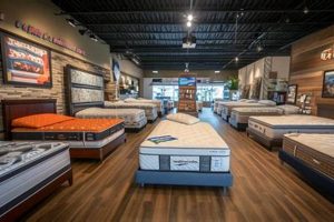 Find the Best Mattress Stores Green Bay, WI - [Year] | Organic & Natural Mattress Buyer’s Guide: Non-Toxic Sleep Solutions