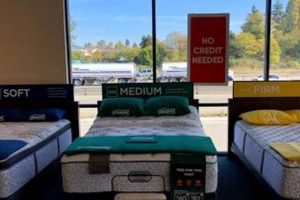 Best Mattress Stores Tacoma WA: Sleep Better Now! Organic & Natural Mattress Buyer’s Guide: Non-Toxic Sleep Solutions Best Mattress Stores Tacoma WA: Sleep Better Now! | Organic & Natural Mattress Buyer’s Guide: Non-Toxic Sleep Solutions