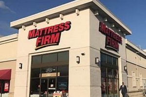 Best Mattress Stores in Jacksonville, FL: Your Sleep Starts Here! Organic & Natural Mattress Buyer’s Guide: Non-Toxic Sleep Solutions Best Mattress Stores in Jacksonville, FL: Your Sleep Starts Here! | Organic & Natural Mattress Buyer’s Guide: Non-Toxic Sleep Solutions