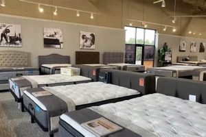 Best Mattress Stores in Appleton WI: Sleep Soundly Tonight Organic & Natural Mattress Buyer’s Guide: Non-Toxic Sleep Solutions Best Mattress Stores in Appleton WI: Sleep Soundly Tonight | Organic & Natural Mattress Buyer’s Guide: Non-Toxic Sleep Solutions