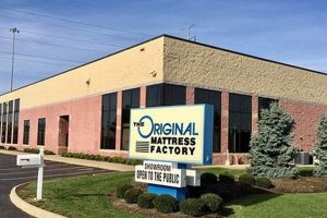 Best Mattress Stores in Columbus, OH: Find Your Dream Bed! Organic & Natural Mattress Buyer’s Guide: Non-Toxic Sleep Solutions Best Mattress Stores in Columbus, OH: Find Your Dream Bed! | Organic & Natural Mattress Buyer’s Guide: Non-Toxic Sleep Solutions