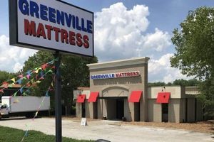 Best Mattress Stores in Greenville, SC: Sleep Better! Organic & Natural Mattress Buyer’s Guide: Non-Toxic Sleep Solutions Best Mattress Stores in Greenville, SC: Sleep Better! | Organic & Natural Mattress Buyer’s Guide: Non-Toxic Sleep Solutions