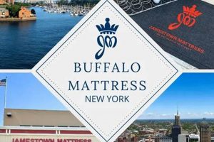 Best Mattress Stores Buffalo NY: Sleep Soundly Tonight! Organic & Natural Mattress Buyer’s Guide: Non-Toxic Sleep Solutions Best Mattress Stores Buffalo NY: Sleep Soundly Tonight! | Organic & Natural Mattress Buyer’s Guide: Non-Toxic Sleep Solutions