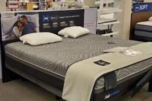 Find Your Dream Mattress at Madison Mattress Store HQ Organic & Natural Mattress Buyer’s Guide: Non-Toxic Sleep Solutions Find Your Dream Mattress at Madison Mattress Store HQ | Organic & Natural Mattress Buyer’s Guide: Non-Toxic Sleep Solutions