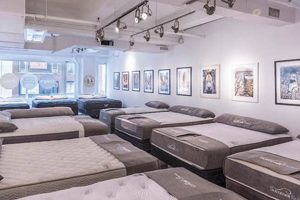 Top-Rated: Best Mattress Stores in NYC Near You Organic & Natural Mattress Buyer’s Guide: Non-Toxic Sleep Solutions Top-Rated: Best Mattress Stores in NYC Near You | Organic & Natural Mattress Buyer’s Guide: Non-Toxic Sleep Solutions