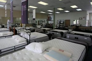 Best Mattress Stores in San Antonio: Your Sleep Starts Here! Organic & Natural Mattress Buyer’s Guide: Non-Toxic Sleep Solutions Best Mattress Stores in San Antonio: Your Sleep Starts Here! | Organic & Natural Mattress Buyer’s Guide: Non-Toxic Sleep Solutions