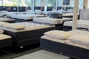 Find Your Dream Mattress: Spokane Store Guide Organic & Natural Mattress Buyer’s Guide: Non-Toxic Sleep Solutions Find Your Dream Mattress: Spokane Store Guide | Organic & Natural Mattress Buyer’s Guide: Non-Toxic Sleep Solutions