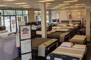 Best Mattress Stores Gainesville FL: Sleep Better Tonight! Organic & Natural Mattress Buyer’s Guide: Non-Toxic Sleep Solutions Best Mattress Stores Gainesville FL: Sleep Better Tonight! | Organic & Natural Mattress Buyer’s Guide: Non-Toxic Sleep Solutions